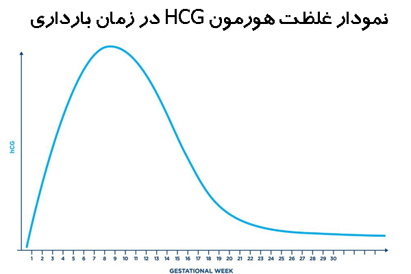 نمودار غلظت hcg در جواب آزمایش بارداری